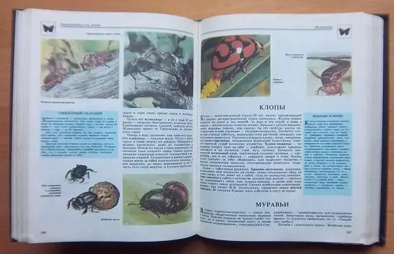 Энциклопедия для детей. Биология. том 2. 3