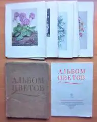 Альбом цветов.