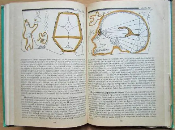 Фурдуй Р., Швайдак Ю. Прелесть тайны. 2