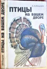 Птицы на вашем дворе. Справочное пособие.