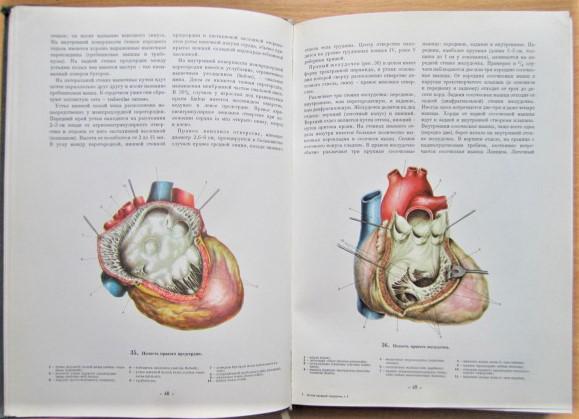 Атлас грудной хирургии. В двух томах. Том 1. 1
