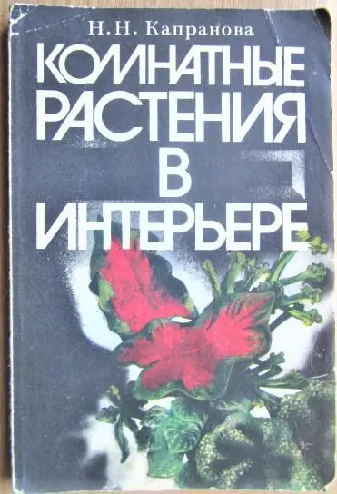 Комнатные растения в интерьере.