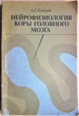 Нейрофизиология коры головного мозга.