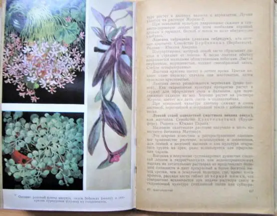 Тавлинова Г. К. Цветоводство. 1