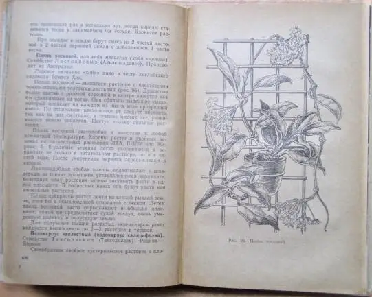 Тавлинова Г. К. Цветоводство. 2