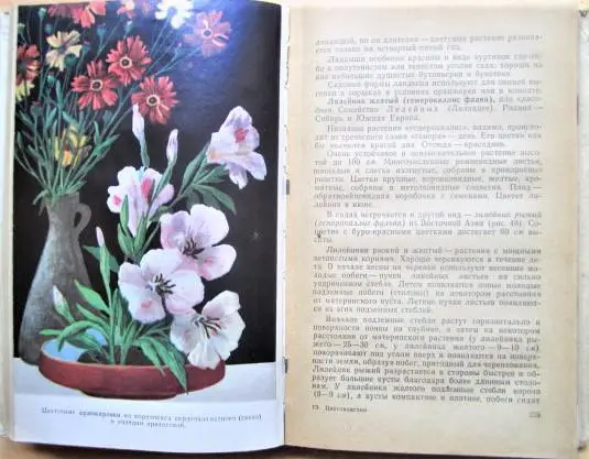 Тавлинова Г. К. Цветоводство. 3