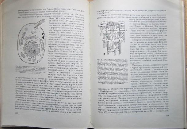 Частная кардиология. В двух томах. 2