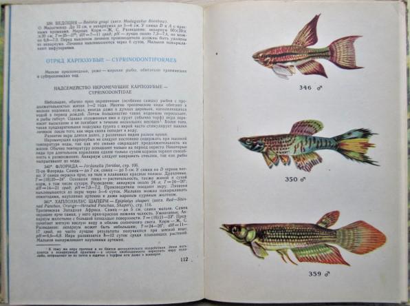 Полонский А. Аквариумные рыбы. 2