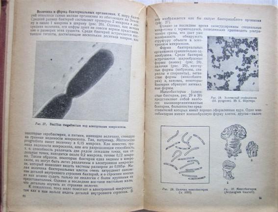 Физиология растений с основами микробиологии. 2