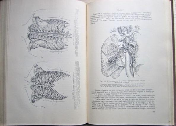 Оперативная хирургия и топографическая анатомия. 2