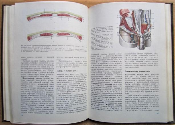 Анатомия человека. В двух томах. Учебник для студентов медицинских институтов. 2