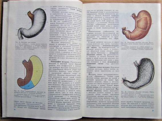 Анатомия человека. В двух томах. Учебник для студентов медицинских институтов. 3