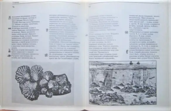 Зенкевич Л. и др. Дары моря. 1