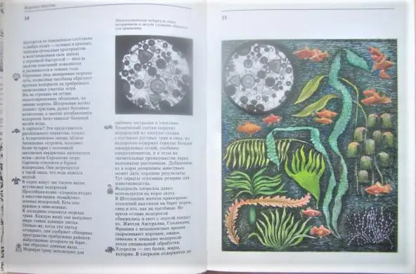 Зенкевич Л. и др. Дары моря. 3