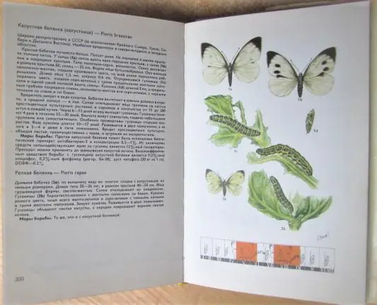 Атлас болезней и вредителей плодовых, ягодных, овощных культур и винограда. 2