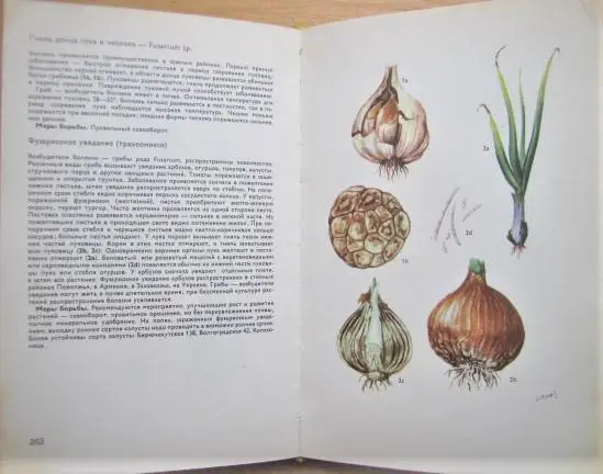 Атлас болезней и вредителей плодовых, ягодных, овощных культур и винограда. 3