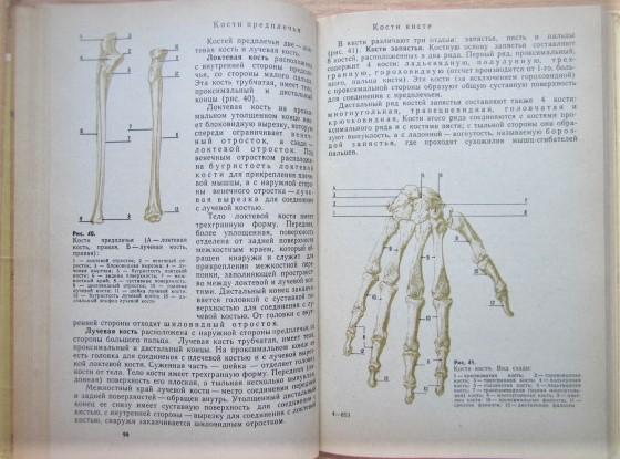Анатомия человека. Учебник для средних учебных заведений физической культуры. 1