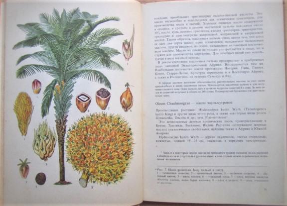 Тропические и субтропические лекарственные растения. 1