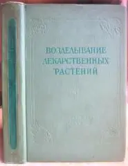 Возделывание лекарственных растений.