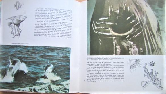 Тройнин В. Рассказы о китах. 2