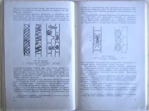 Боговик І.	Нижчі рослини. (Лабораторні заняття.) 2