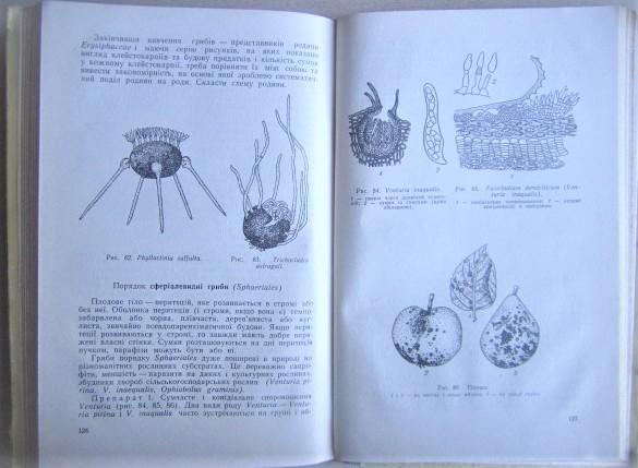 Боговик І.	Нижчі рослини. (Лабораторні заняття.) 3