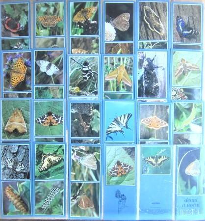 «Denni a nocni motyli - Дневные и ночные бабочки». Набор из 21 открытки.