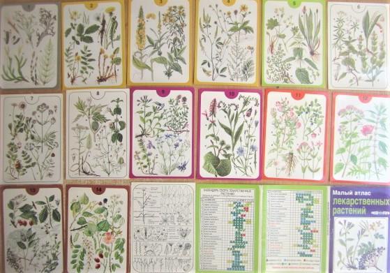 «Малый атлас лекарственных растений». Набор из 14 открыток.