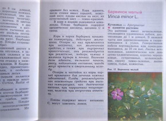 Поляковска М.	Лесные лекарственные растения. 1