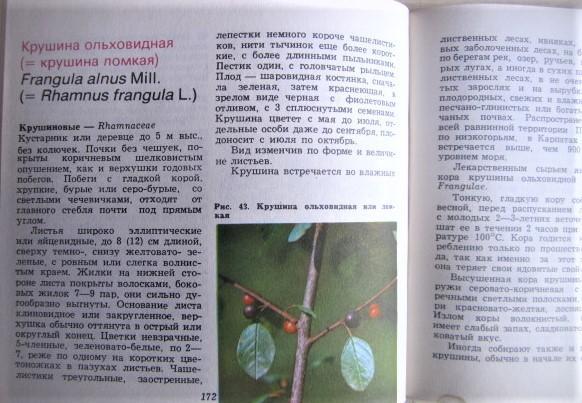 Поляковска М.	Лесные лекарственные растения. 2