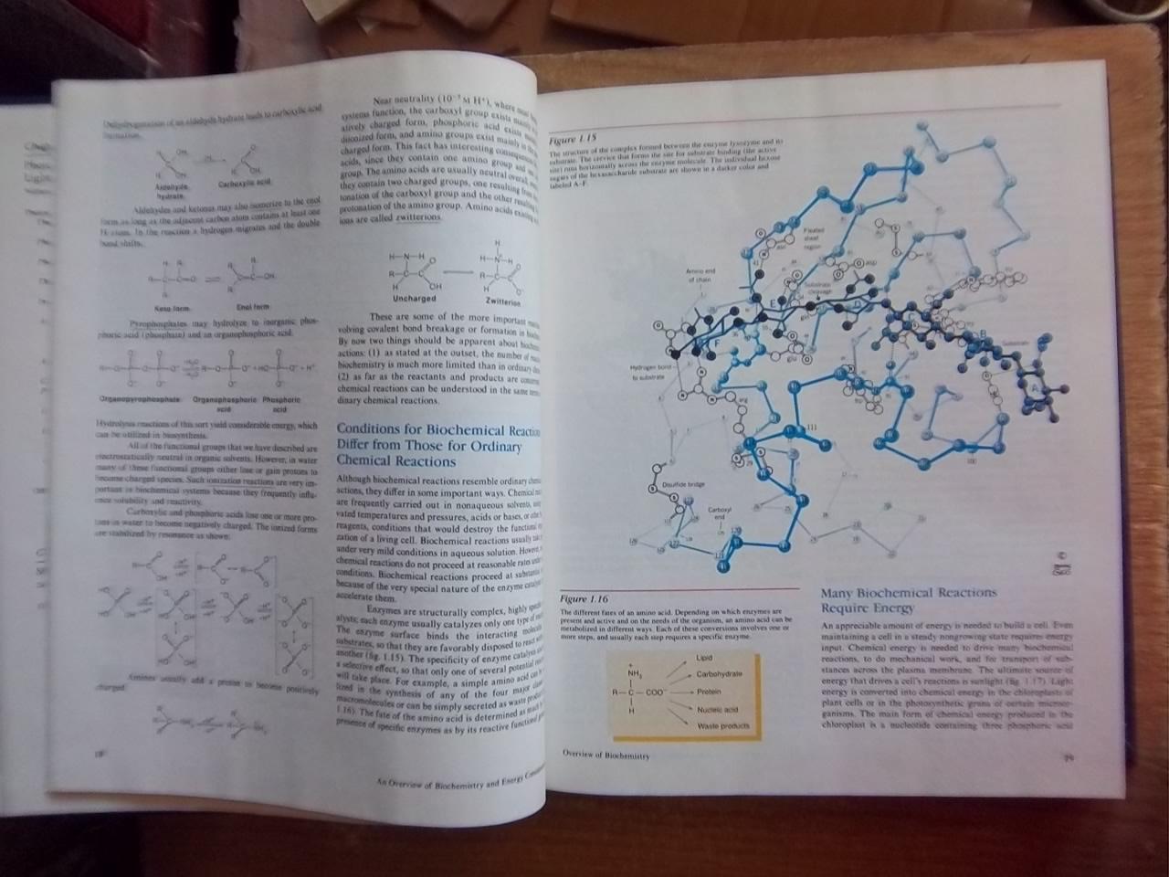 Zubay G.	Biochemistry. Third Edition. 2