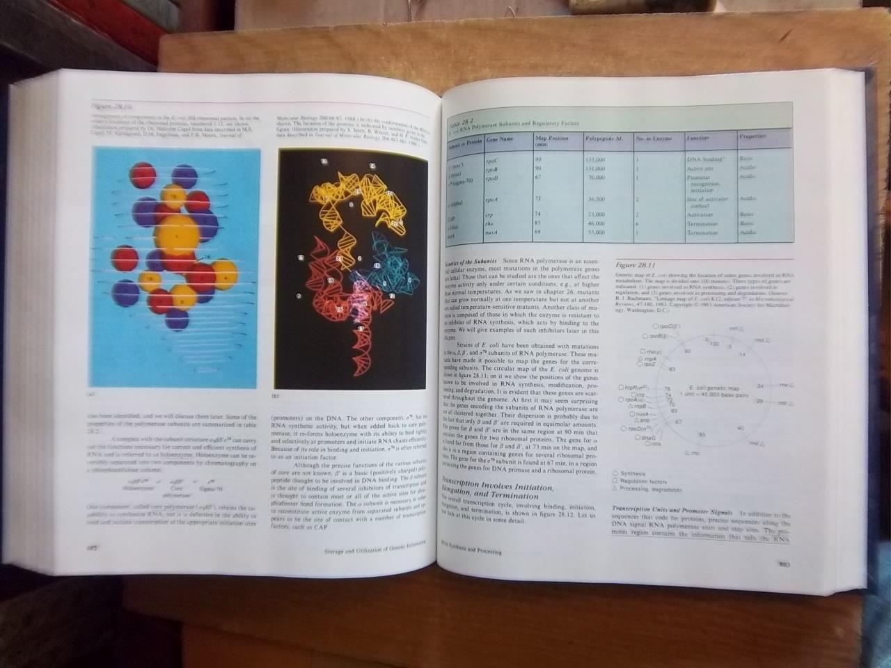 Zubay G.	Biochemistry. Third Edition. 3