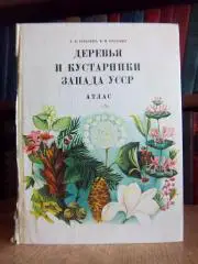 Бродович Т., Бродович М.	Деревья и кустарники Запада УССР. Атлас.