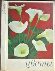 Жоголева В. и др. Цветы. Комнатные растения и декоративноцветущие кустарники.