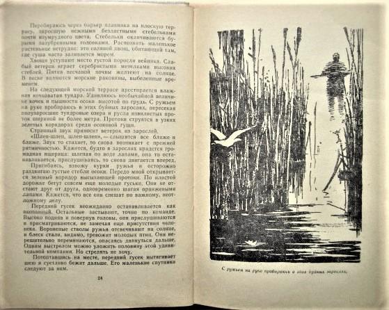 Виктор Болдырев.	Гибель Синего Орла. Приключенческая повесть. (БПиНФ, Рамка). 2