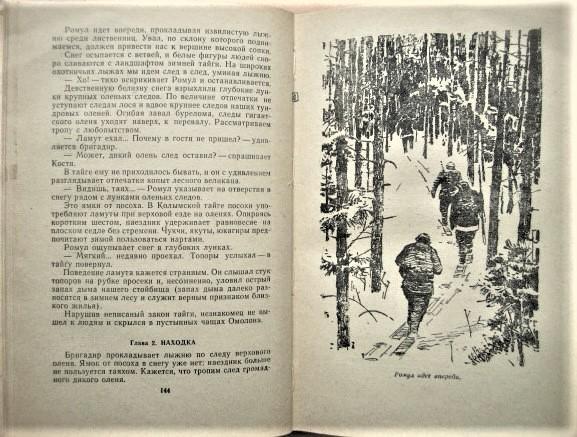 Виктор Болдырев.	Гибель Синего Орла. Приключенческая повесть. (БПиНФ, Рамка). 3