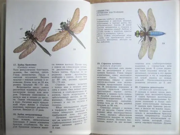 Мамаев Б.М.	Школьный атлас-определитель насекомых. Книга для учащихся. 1