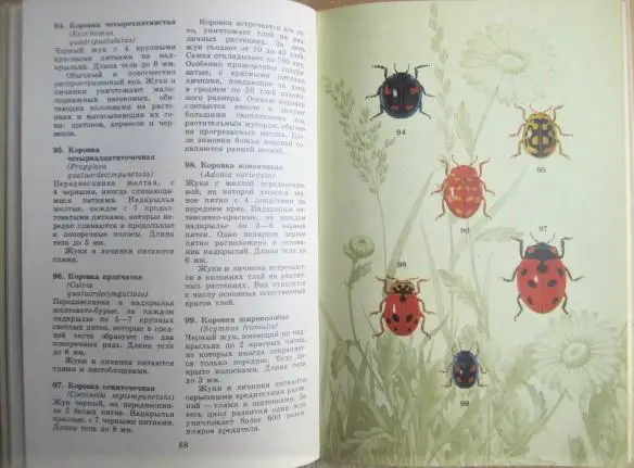Мамаев Б.М.	Школьный атлас-определитель насекомых. Книга для учащихся. 2