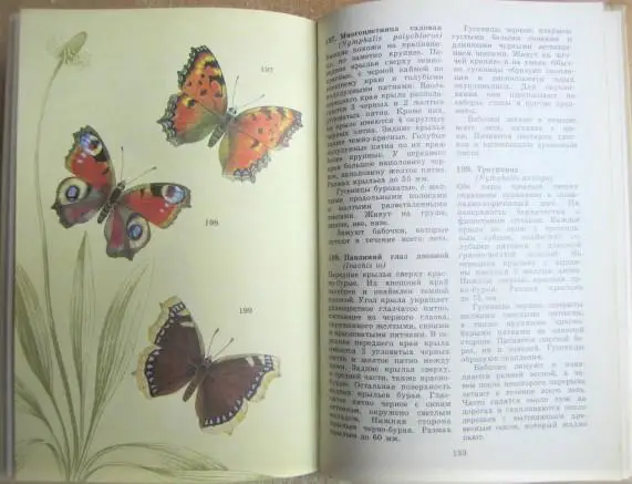 Мамаев Б.М.	Школьный атлас-определитель насекомых. Книга для учащихся. 4