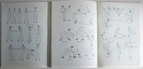 Богачихин М.	Уроки китайской гимнастики Выпуск 1 и 2. Физкультура против недуга. 1