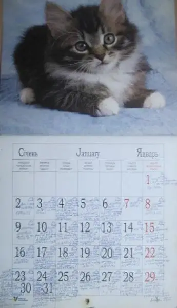 Календар Кумедні кішки. Смешные кошки. 2