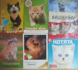 Календар Кумедні кішки. Смешные кошки.