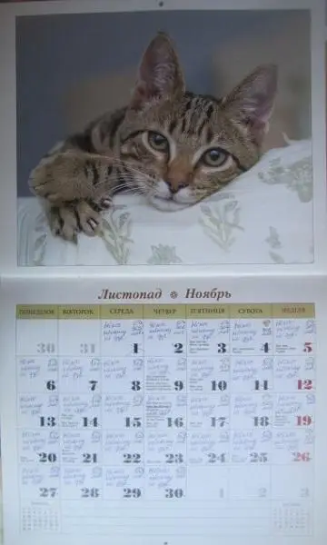 Календар Чарівні улюбленці коти. 2