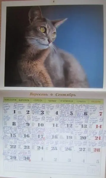 Календар Чарівні улюбленці коти. 3