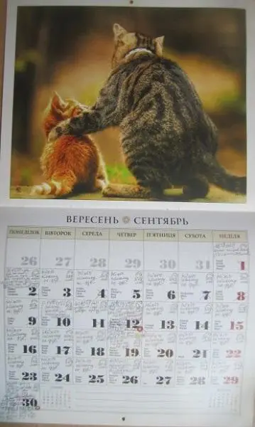 Календар Чарівні улюбленці коти. 4