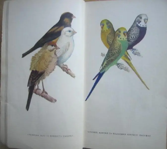 Г.Ф. Романишин.	Співочі птахи. 3