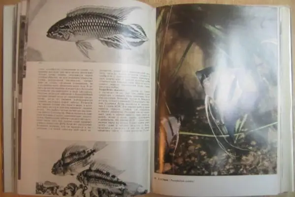 Франк С.	Иллюстрированная энциклопедия рыб. 3