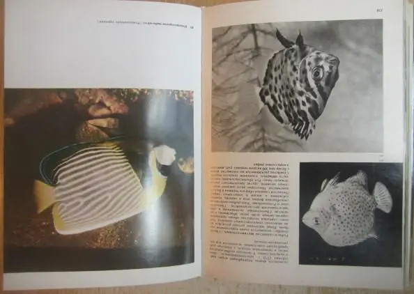 Франк С.	Иллюстрированная энциклопедия рыб. 5
