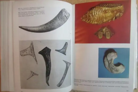 Елинек Ян.	Большой иллюстрированный атлас первобытного человека. 2