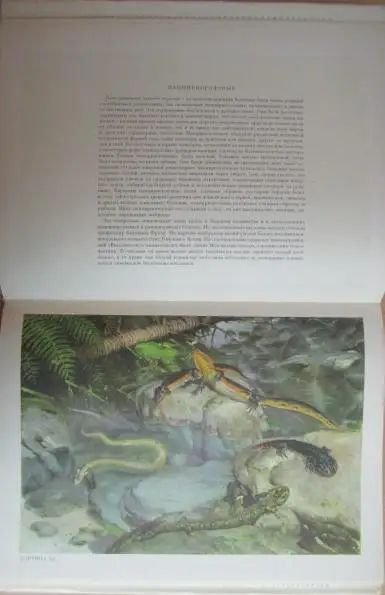 Аугуста И., Буриан З.	По путям развития жизни. 4